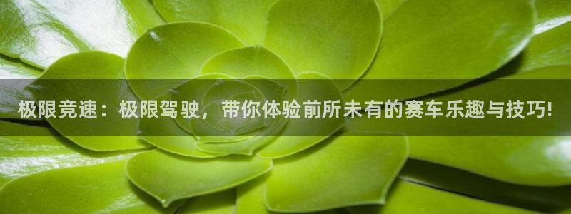 极悦娱乐平台官网客服电话：极限竞速：极限驾驶，带你体验前所未
