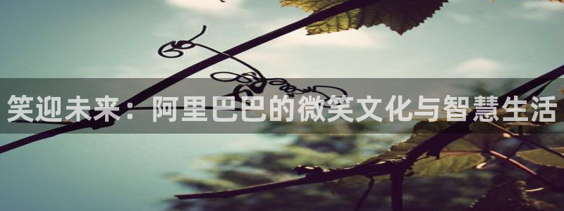极悦娱乐网页登录入口官网：笑迎未来：阿里巴巴的微笑文化与智慧