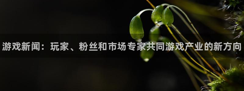 极悦娱乐注册官方登录app：游戏新闻：玩家、粉丝和市场专家共