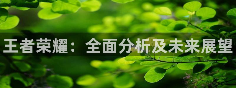 极悦娱乐app下载地址：王者荣耀：全面分析及未来展望