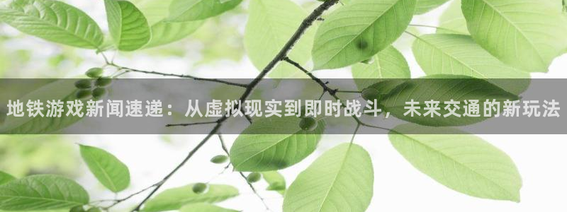 极悦娱乐登陆测速：地铁游戏新闻速递：从虚拟现实到即时战斗，未