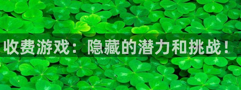 极悦娱乐登陆：收费游戏：隐藏的潜力和挑战！