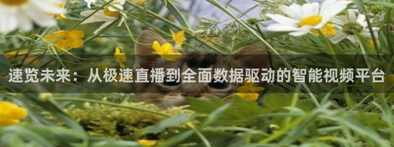雨燕直播178足球比赛：速览未来：从极速直播到全面数据驱动的智能视频平台