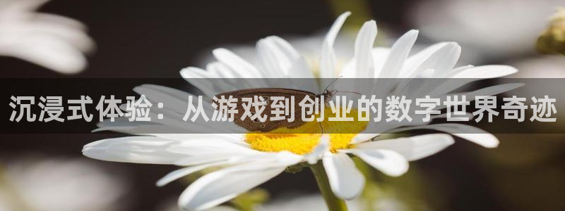 极悦娱乐集团最新消息官网：沉浸式体验：从游戏到创业的数字世界
