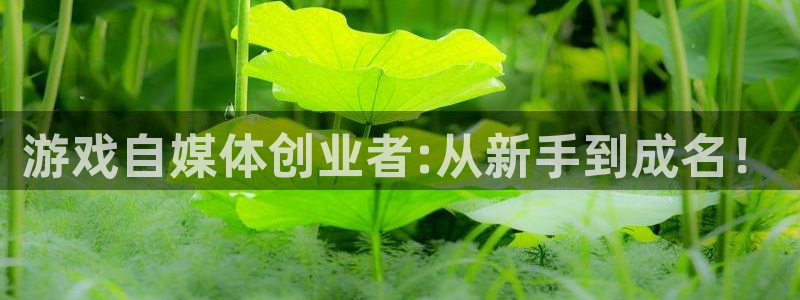 极悦娱乐会员老板.直开.中国：游戏自媒体创业者:从新手到成名