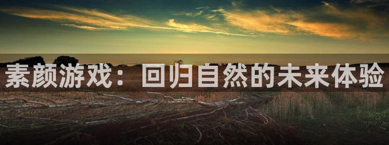 极悦娱乐是否涉及诈骗行为：素颜游戏：回归自然的未来体验