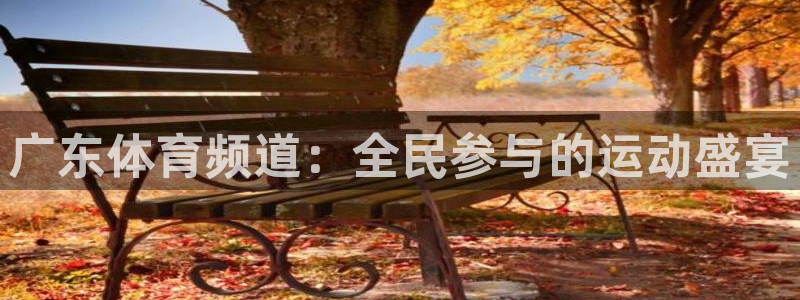 雨燕直播足球直播网：广东体育频道：全民参与的运动盛宴