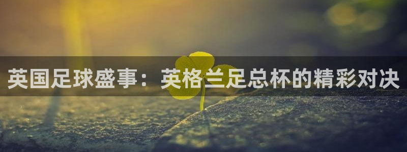 178足球雨燕比赛直播：英国足球盛事：英格兰足总杯的精彩对决