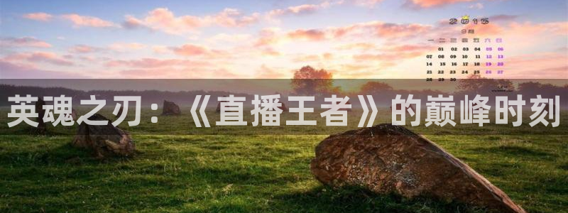 360体育雨燕直播：英魂之刃：《直播王者》的巅峰时刻