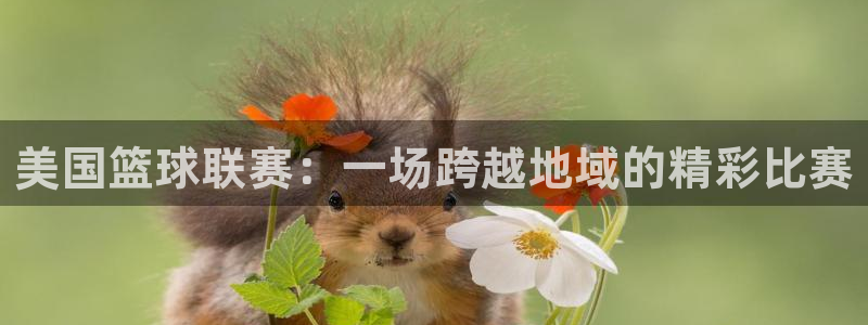 雨燕直播比赛：美国篮球联赛：一场跨越地域的精彩比赛