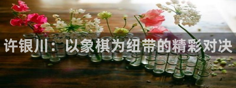 雨燕360体育免费直播高清视频大全：许银川：以象棋为纽带的精彩对决